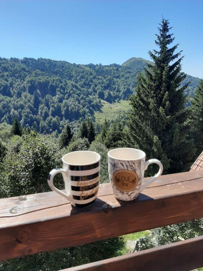 Casa Nostra Kop Villa Kopaonik Luaran gambar